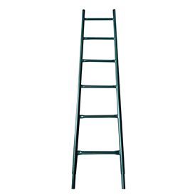 Access Ladder 5′