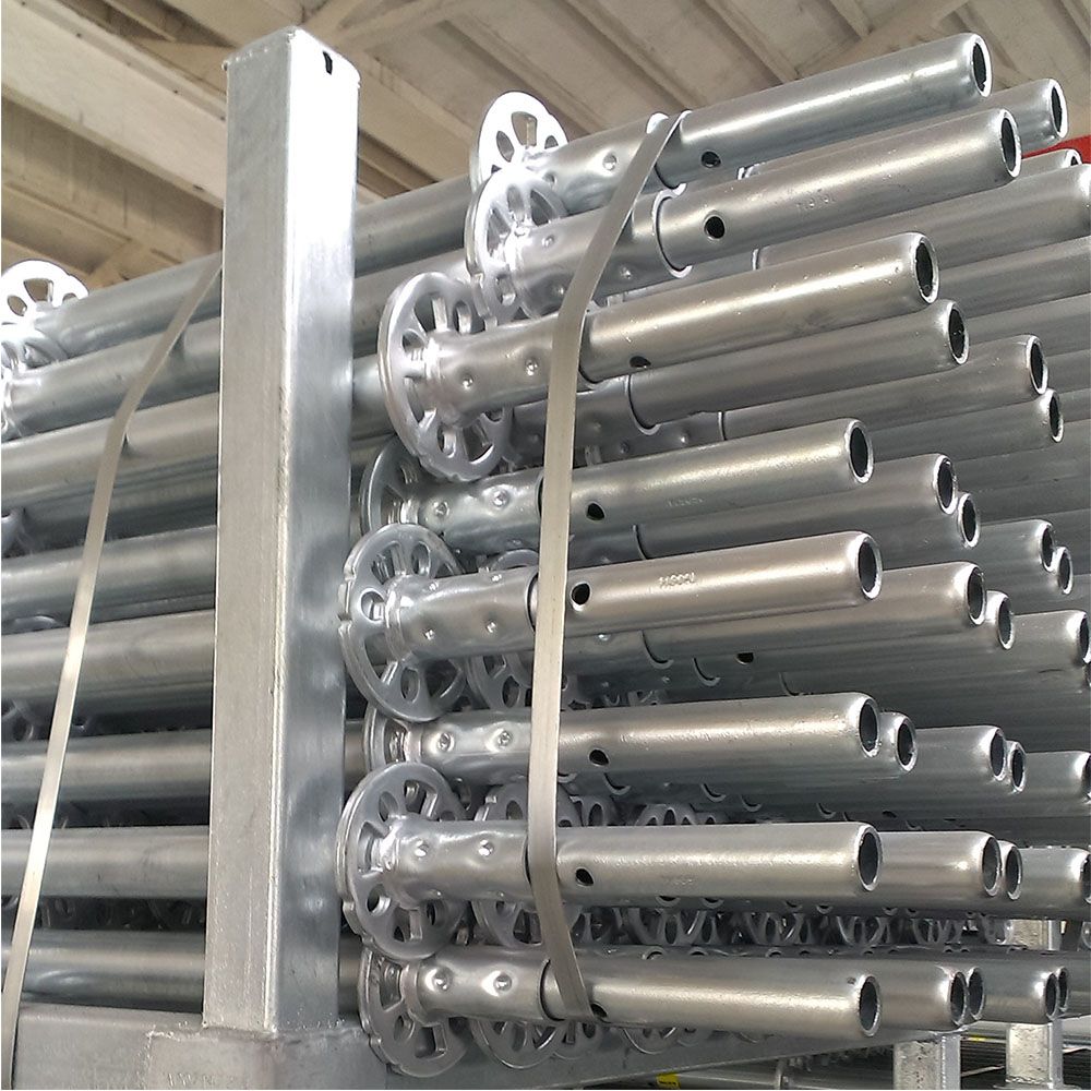 Multidirectional scaffolding standard