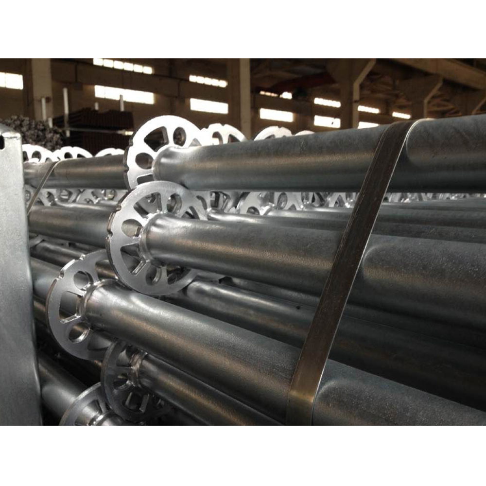 Multidirectional scaffolding standard