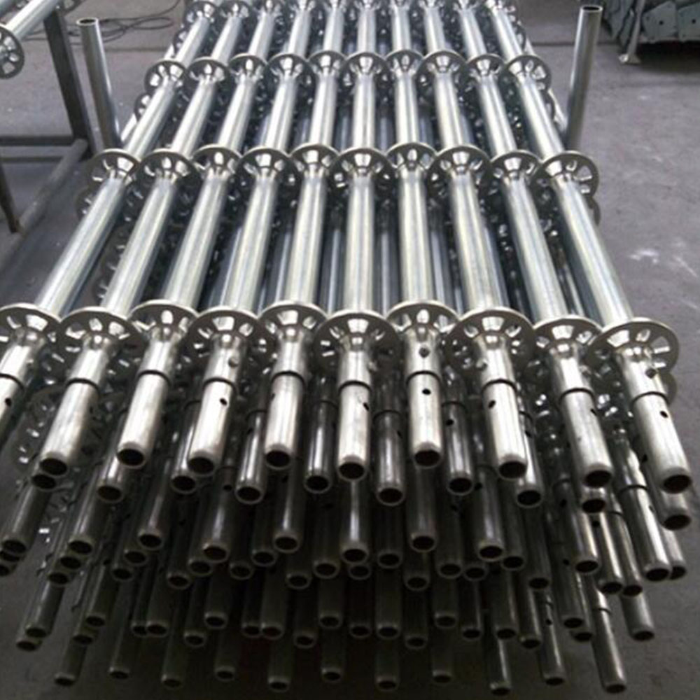 Multidirectional scaffolding standard