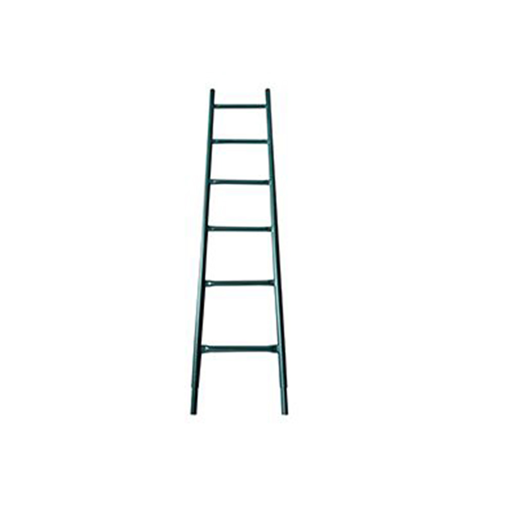Access ladder 5'